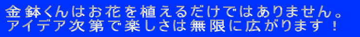 ^㏸IɐIS萬AI Ȃ̃ACfAK^ł܂B 